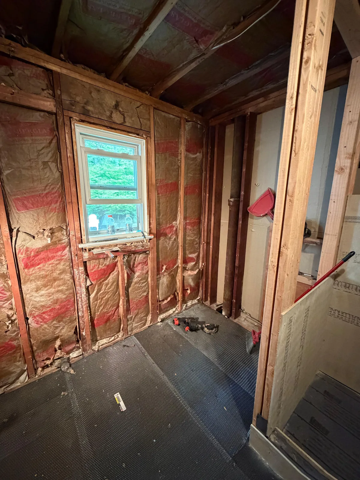 Bathroom demo to studs