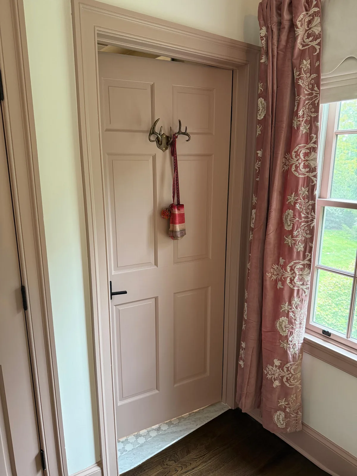 Blush door with antler hook