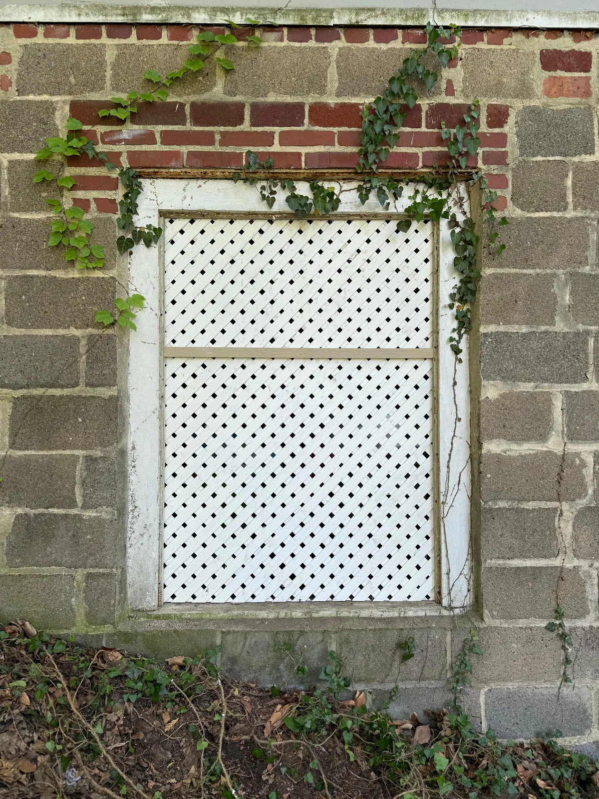 Lattice basement window finished